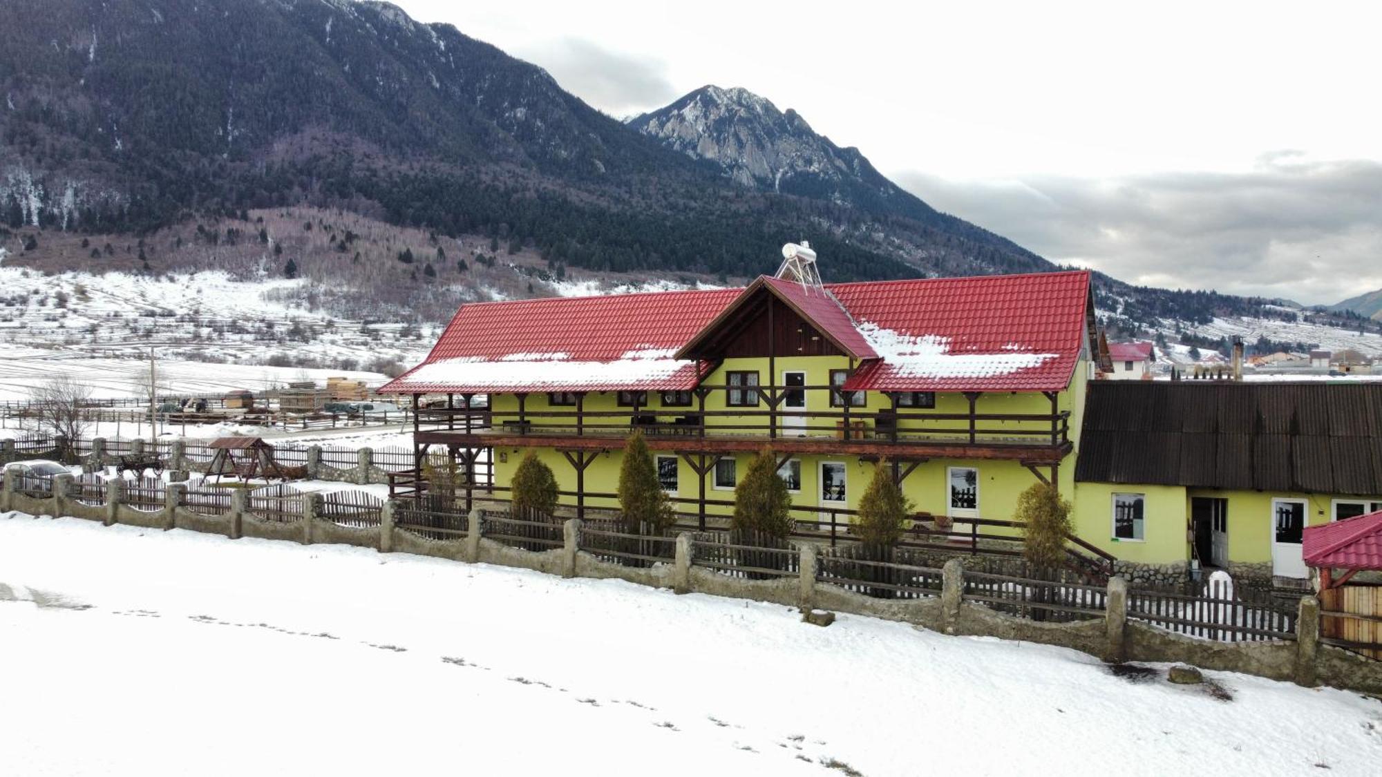 Maricom Home Zărneşti Dış mekan fotoğraf