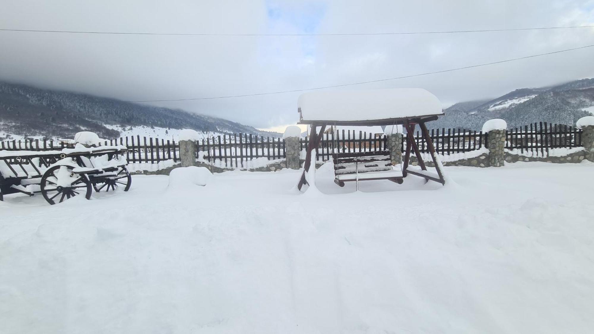 Maricom Home Zărneşti Dış mekan fotoğraf